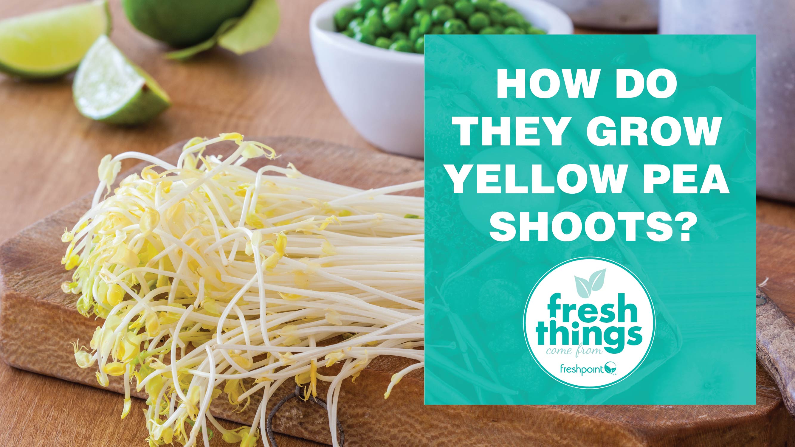 freshpoint-produce-yellow pea shoots