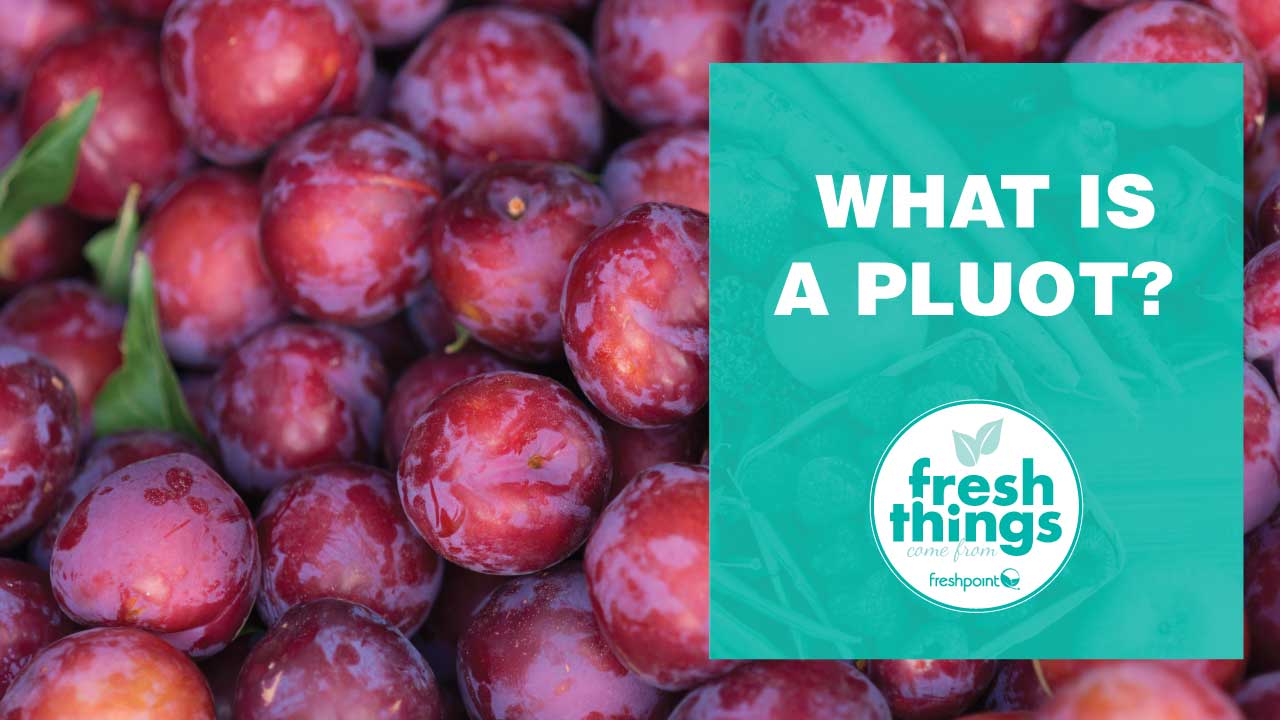 FreshPoint | Fresh Things Video: Have you ever wanted to know, what is ...