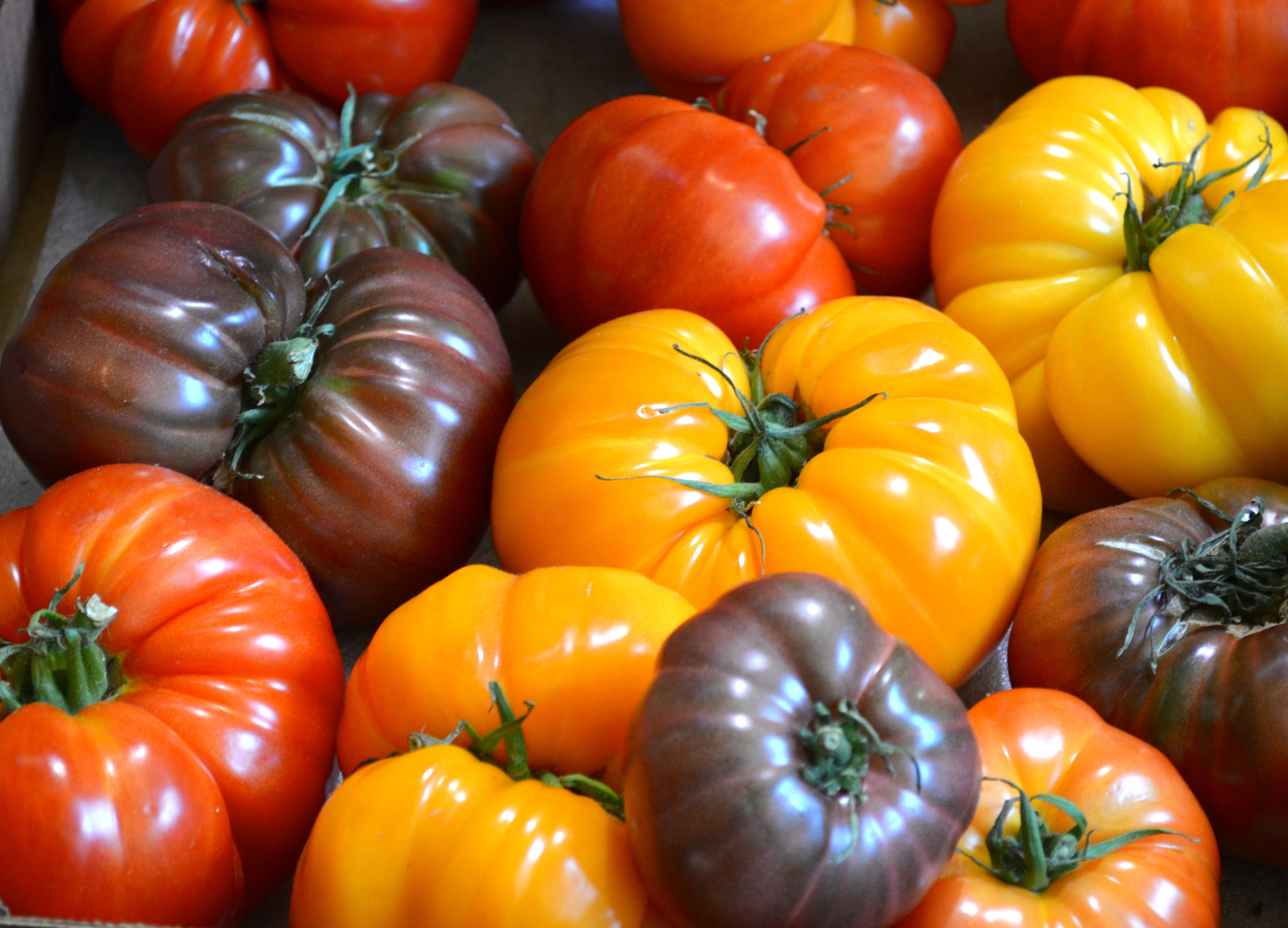 heirloom-tomatoes-mixed-freshpoint-prodduce