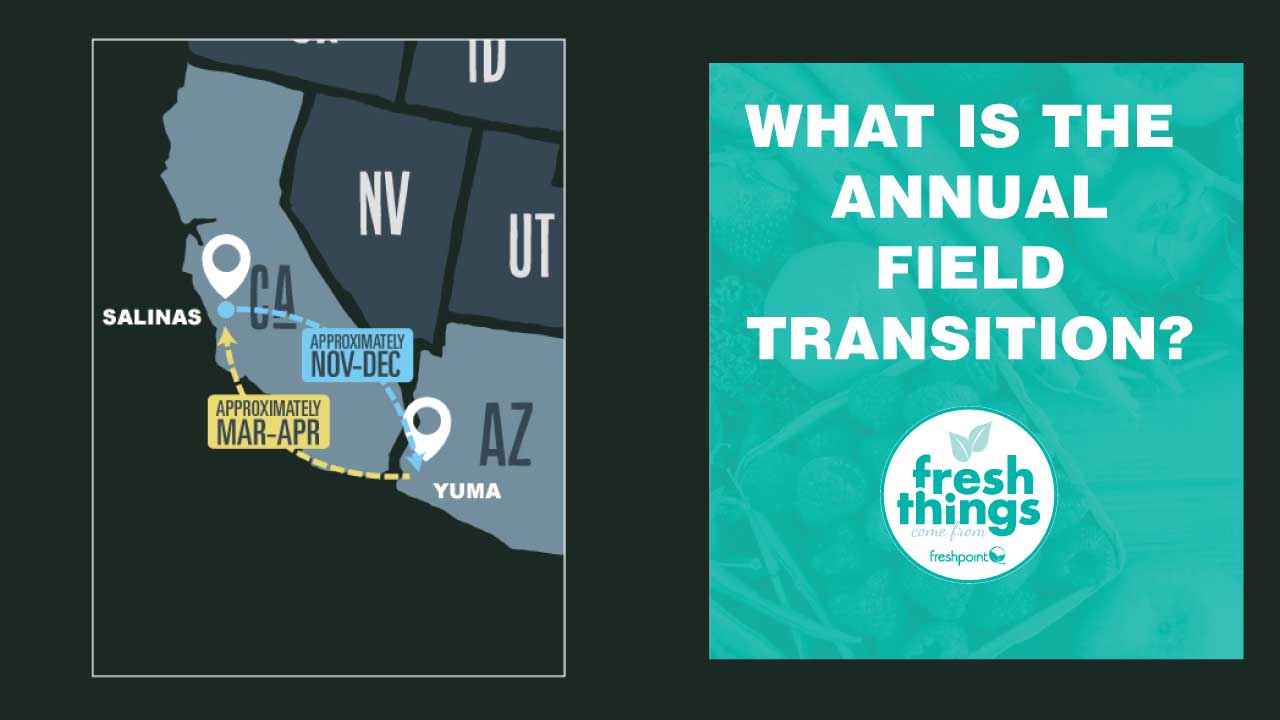 annual-field-transition-freshpoint-produce