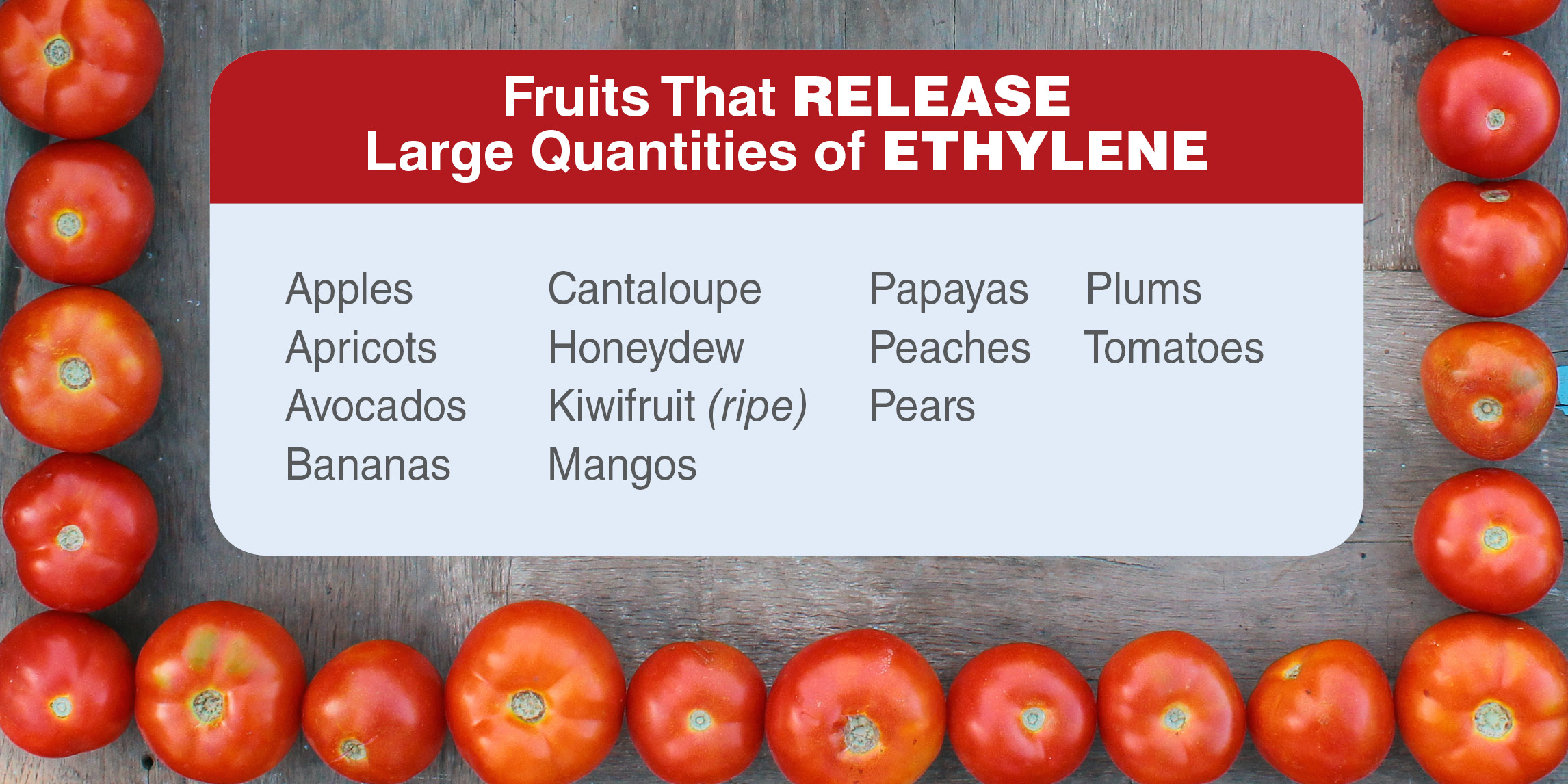 An infographic that lists common fruits that release large quantities of ethylene. 