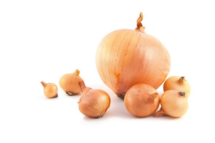 Yellow onions of different sizes on a white background. 