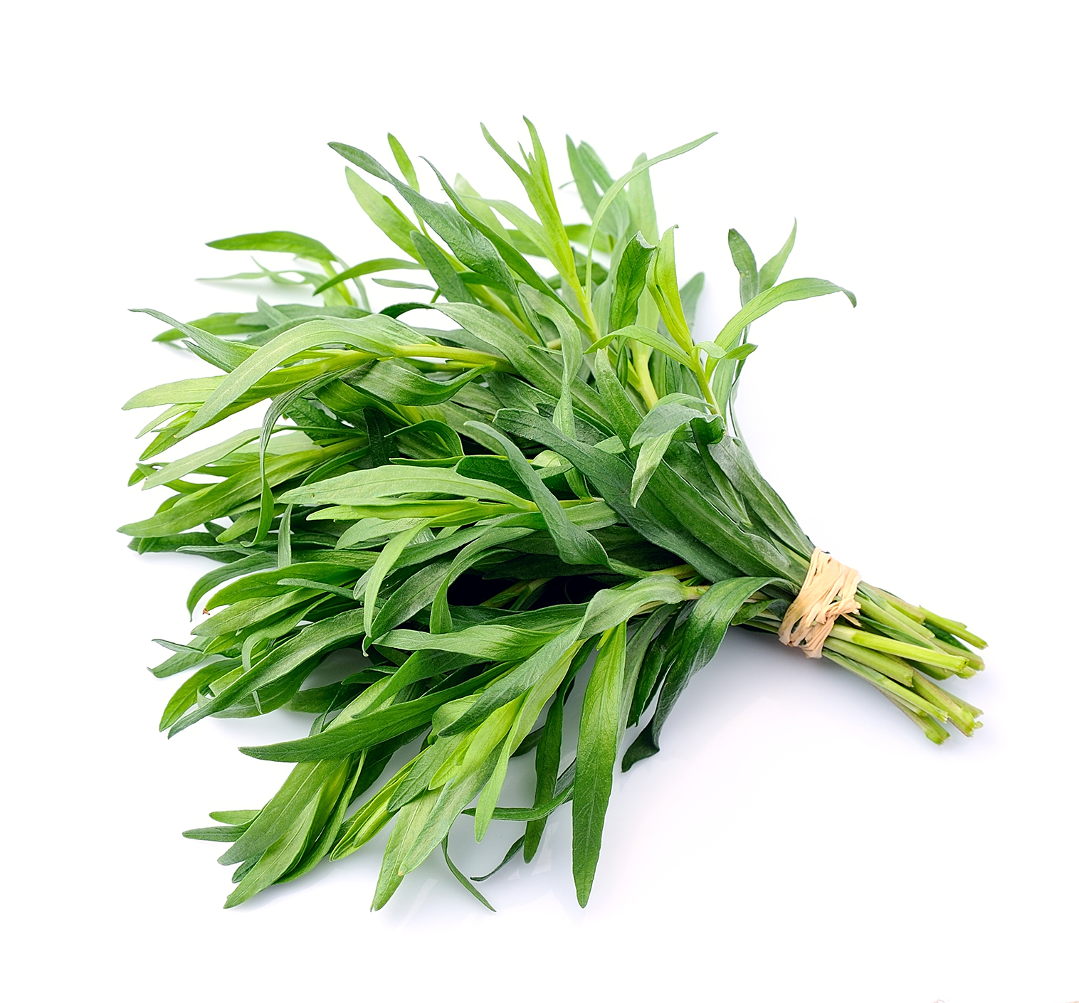 freshpoint-tarragon