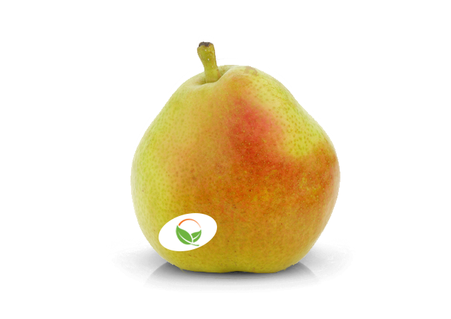 An image of a d'Anjou pear